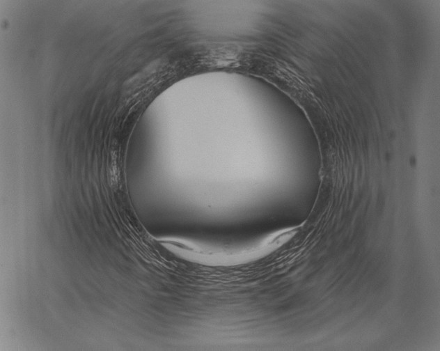 X0000067371442200604211530