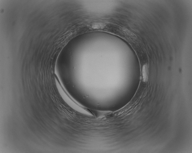 X0000067371443200604211530