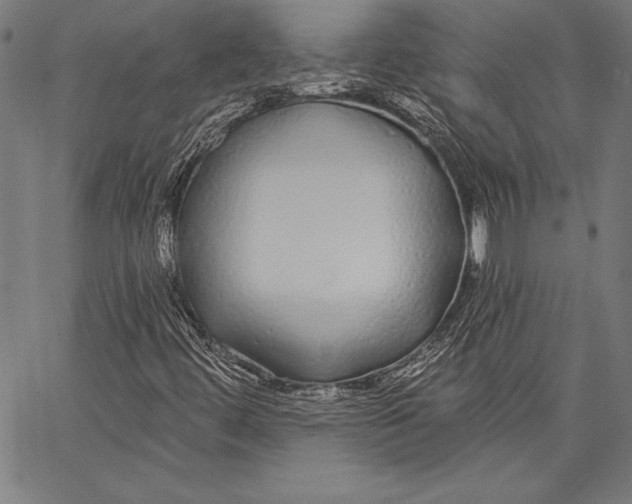 X0000067371444200604211530