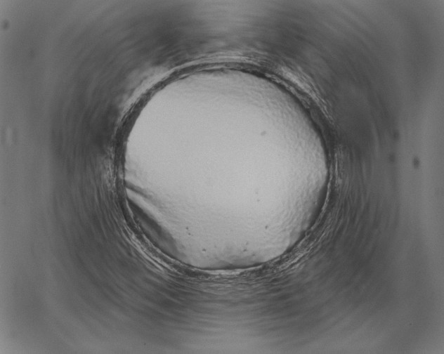 X0000067371452200604211530