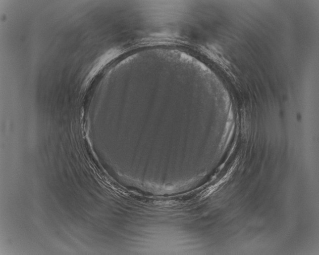 X0000067371453200604211530