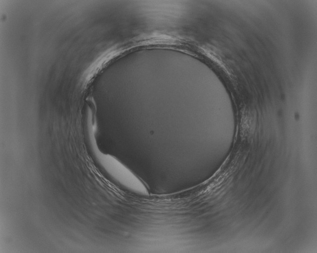 X0000067371455200604211530
