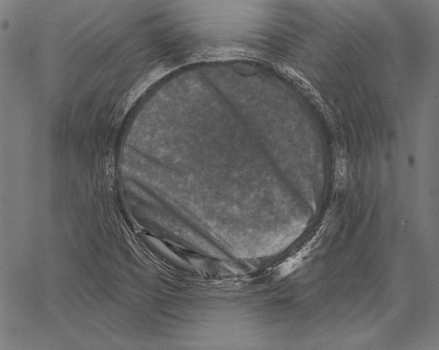X0000067371457200604211530