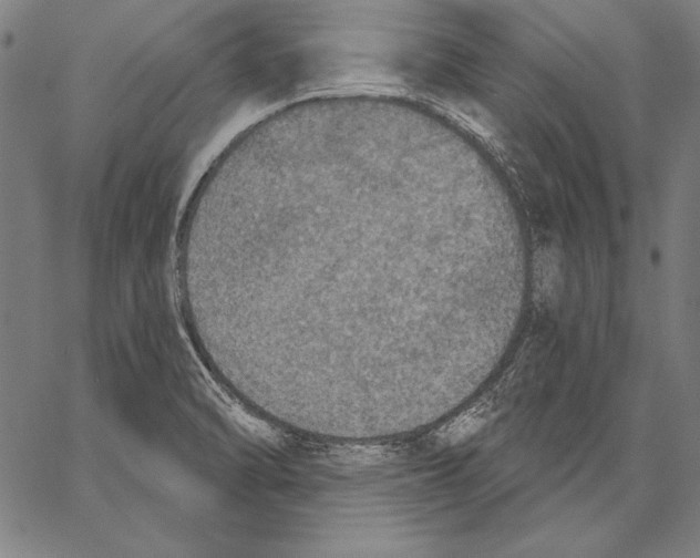 X0000067371470200604211530