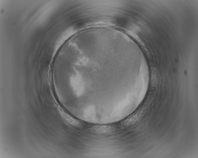 X0000067371474200604211529