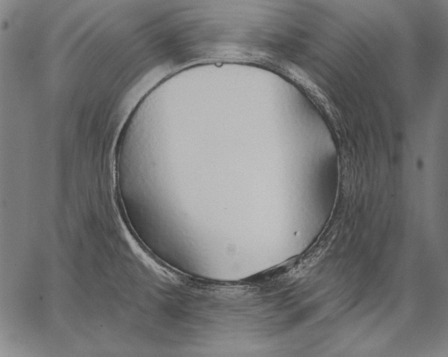 X0000067371479200604211529