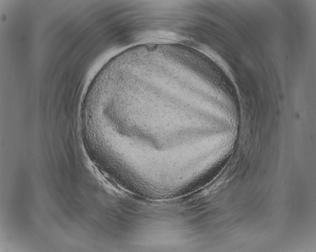 X0000067371488200604211529