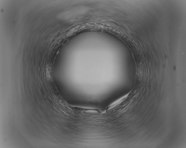 X0000067371490200604211528