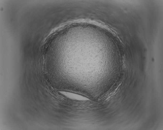 X0000067371494200604211529