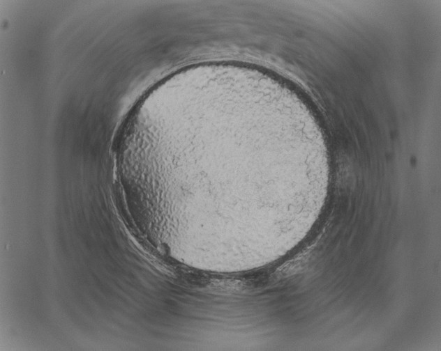 X0000067371509200604211529