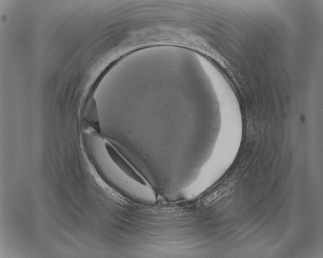X0000067371515200604211529