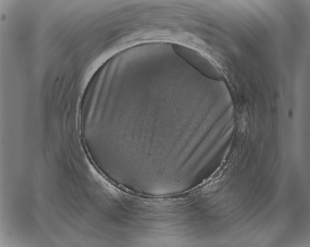 X0000067371527200604211529