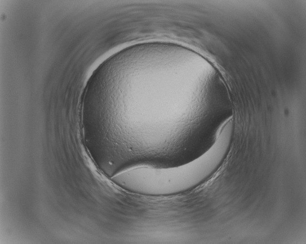 X0000067371534200604211529