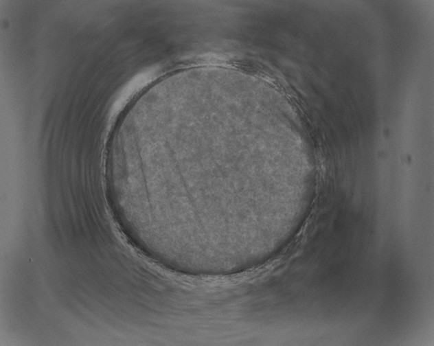 X0000067370006200604281802