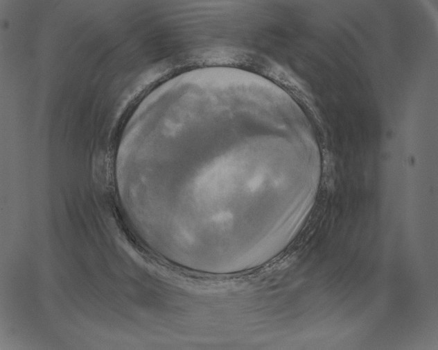 X0000067370012200604281802
