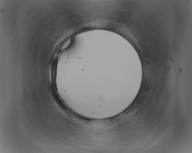 X0000067370020200604281802