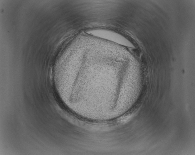 X0000067370024200604281802