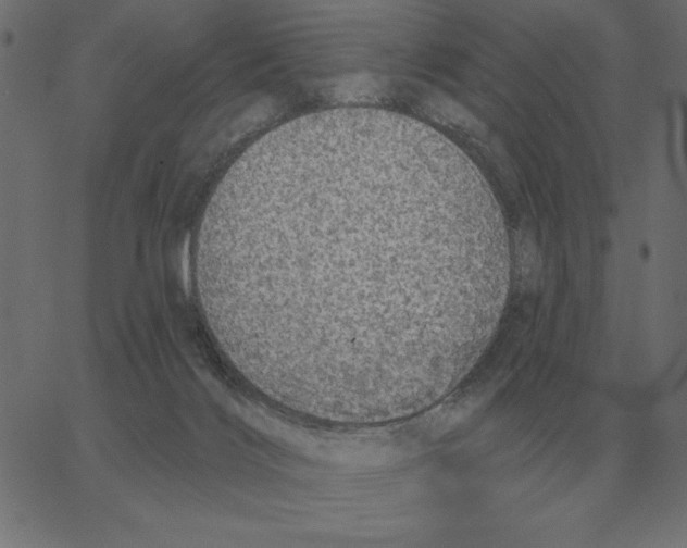 X0000067370028200604281802