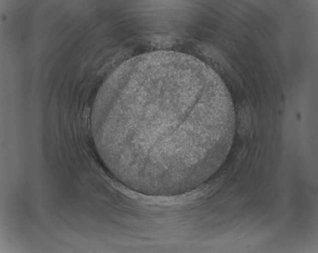 X0000067370034200604281802