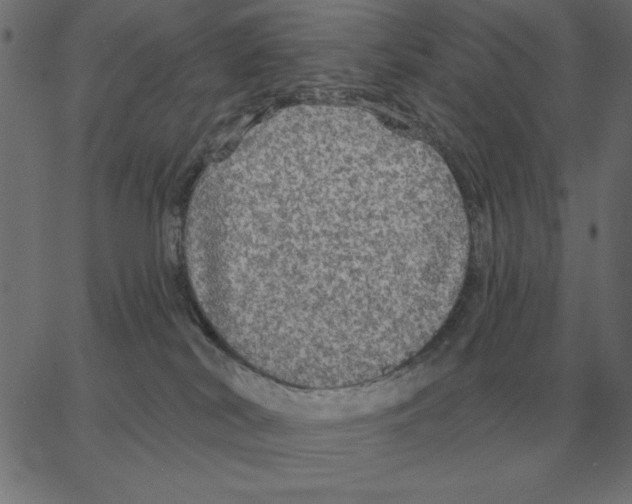 X0000067370038200604281802