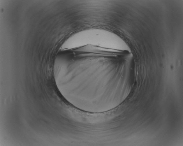 X0000067370039200604281802