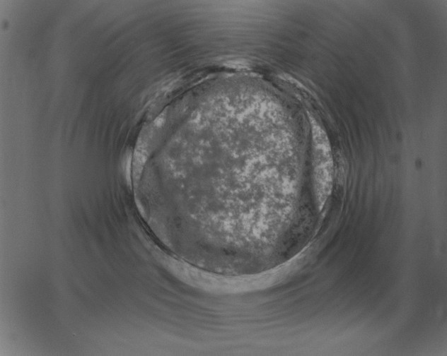 X0000067370047200604281802