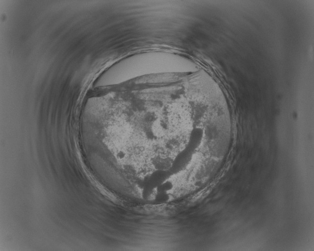 X0000067370049200604281801