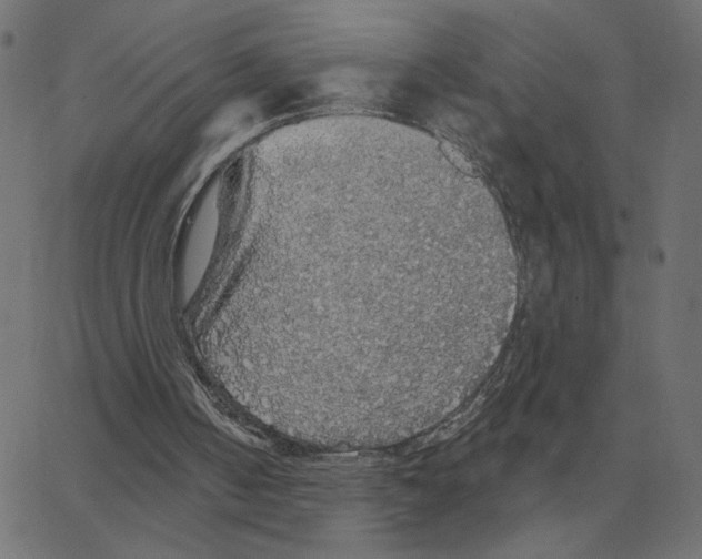 X0000067370050200604281801