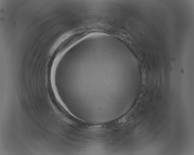X0000067370054200604281801