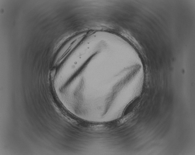 X0000067370058200604281801