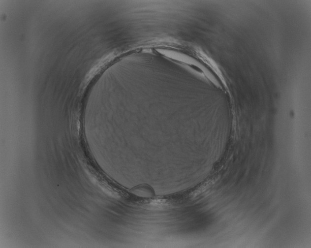 X0000067370059200604281801