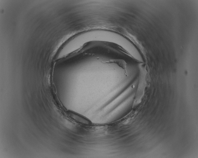 X0000067370060200604281801