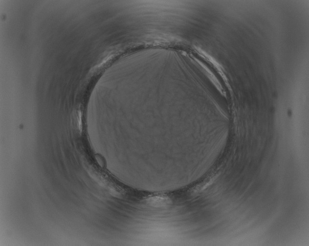 X0000067370067200604281801