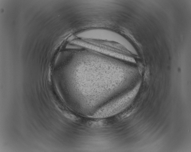 X0000067370068200604281801