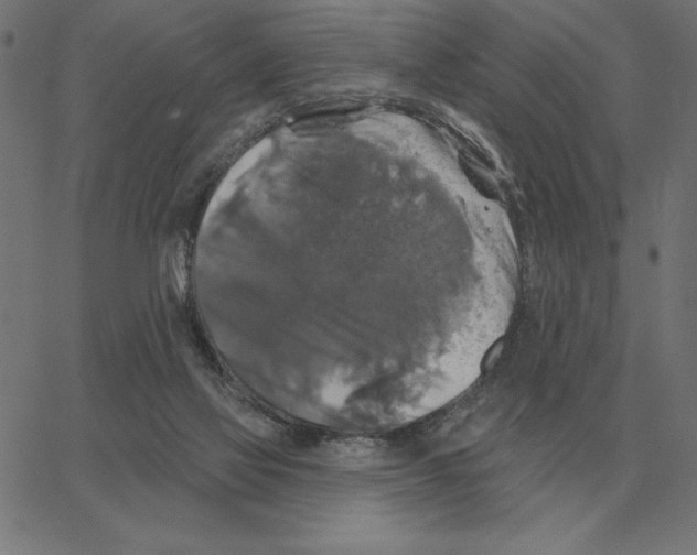 X0000067370069200604281801