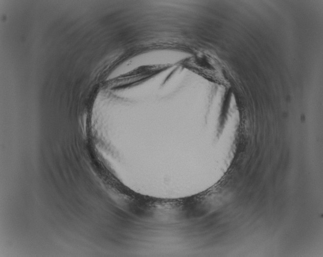 X0000067370070200604281801
