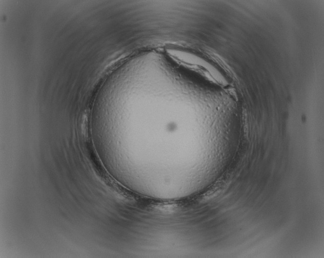 X0000067370071200604281801