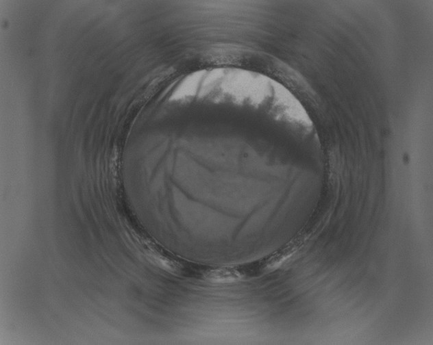 X0000067370073200604281801