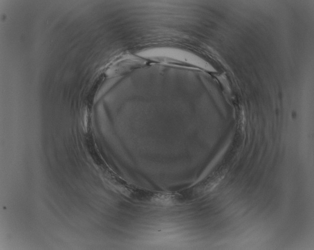 X0000067370076200604281801