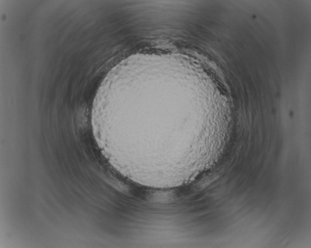 X0000067370081200604281801