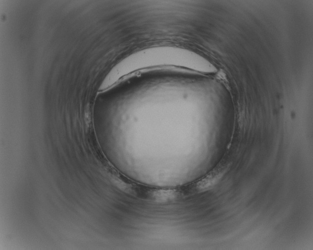 X0000067370085200604281801