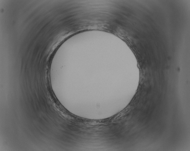 X0000067370098200604281801