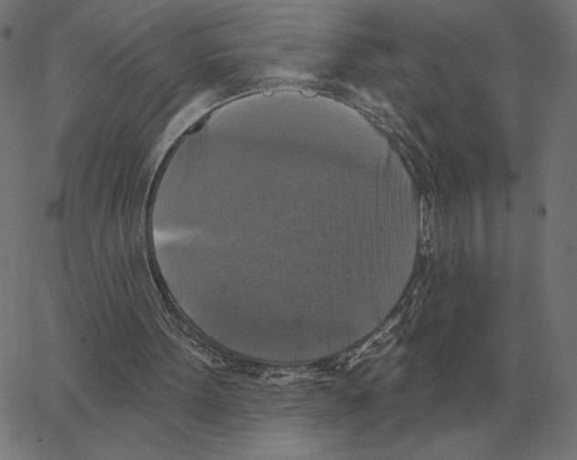 X0000067370099200604281801