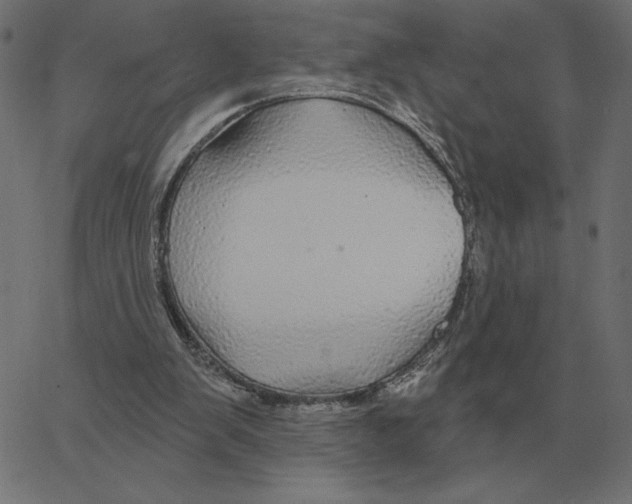 X0000067370103200604281801