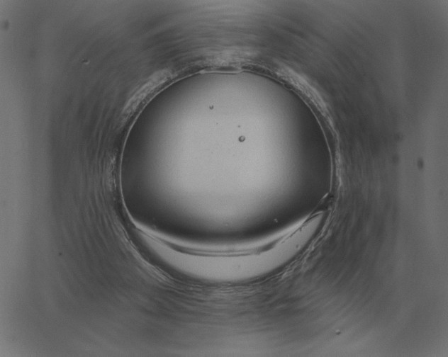 X0000067370105200604281801
