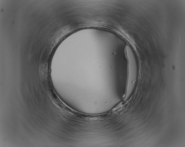 X0000067370107200604281801