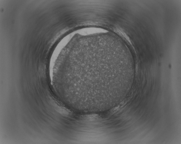 X0000067370108200604281801