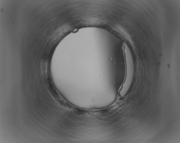 X0000067370115200604281801