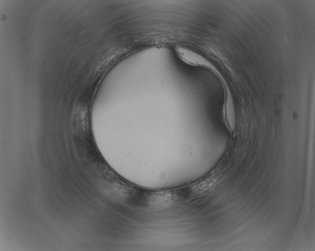 X0000067370123200604281800