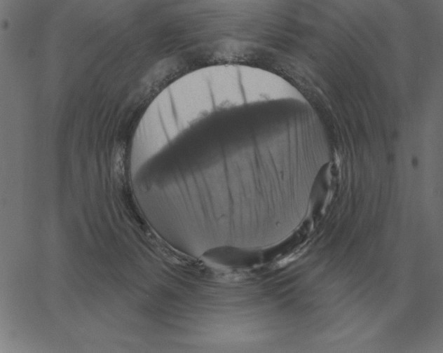 X0000067370127200604281800